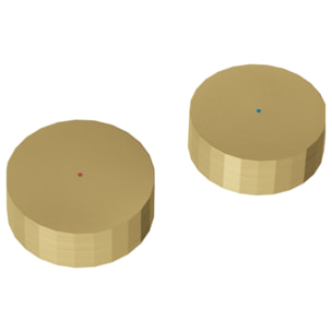 Deux poignées pour mélangeur lavabo Grands Boulevards Laiton brossé