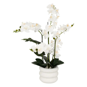 Orchidée artificielle en pot "Mick" pot en céramique blanc H80cm