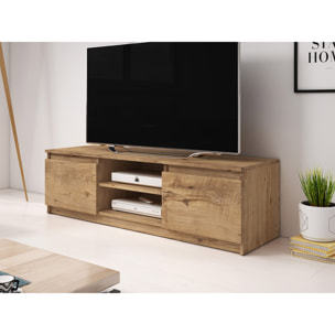 Robin - meuble TV - 120 cm - style industriel - Noir / Bois et Bois