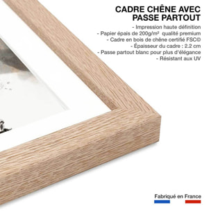Affiche Chaos sauvage Affiche sous cadre bois