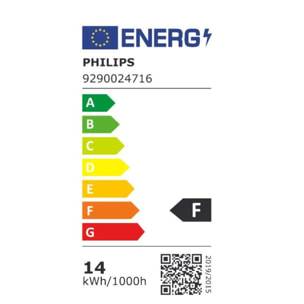 Ampoule LED connectée PHILIPS HUE W&C E27 100W