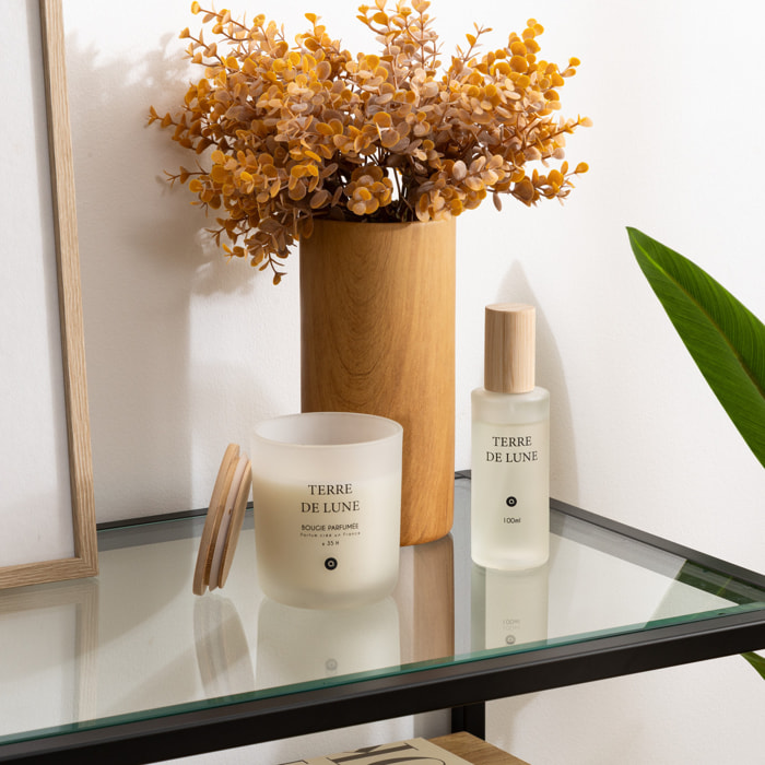Bougie parfumée Sana 255g pot verre Terre de Lune