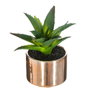 Plante verte pot céramique H.15