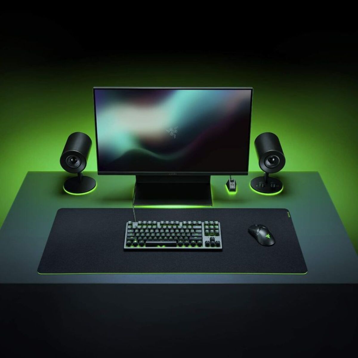 Tapis de souris RAZER Gigantus V2 XXL