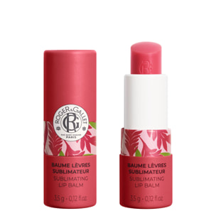 Gingembre Rouge - Baume Lèvres Sublimateur 3,5g