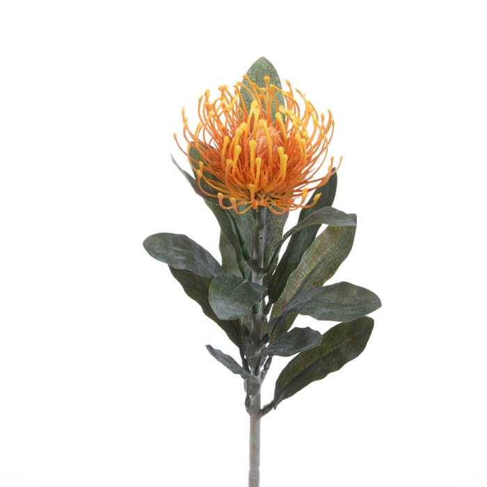 Fiore Di Protea Composto Da 14 Foglie. Altezza 67 Cm - Pezzi 12 - 8X67X8cm - Colore: Arancio - Bianchi Dino - Fiori Artificiali