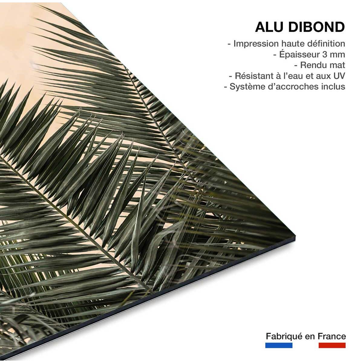 Tableau sandy palme Tableau alu Dibond