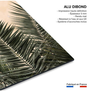 Tableau sandy palme Tableau alu Dibond