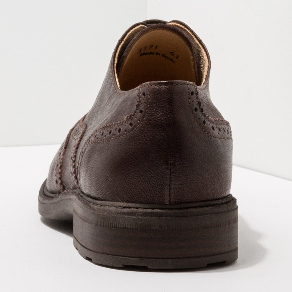 Zapatos S3171 MONTONE BROWN /TRESSOT color Brown