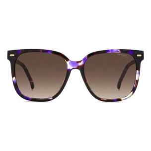 Gafas de Sol Carrera 3002/S HKZ de Acetato Mujer 55 mm