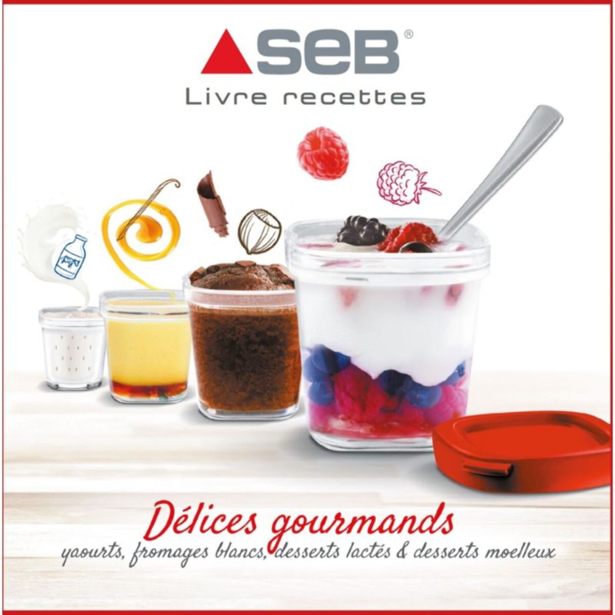 Yaourtière et fromagère SEB YG661A00 Multidélices Express 12 pots