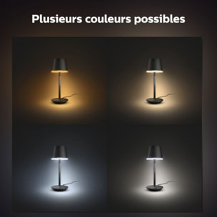 Lampe connectée PHILIPS HUE W&C GO Blanc