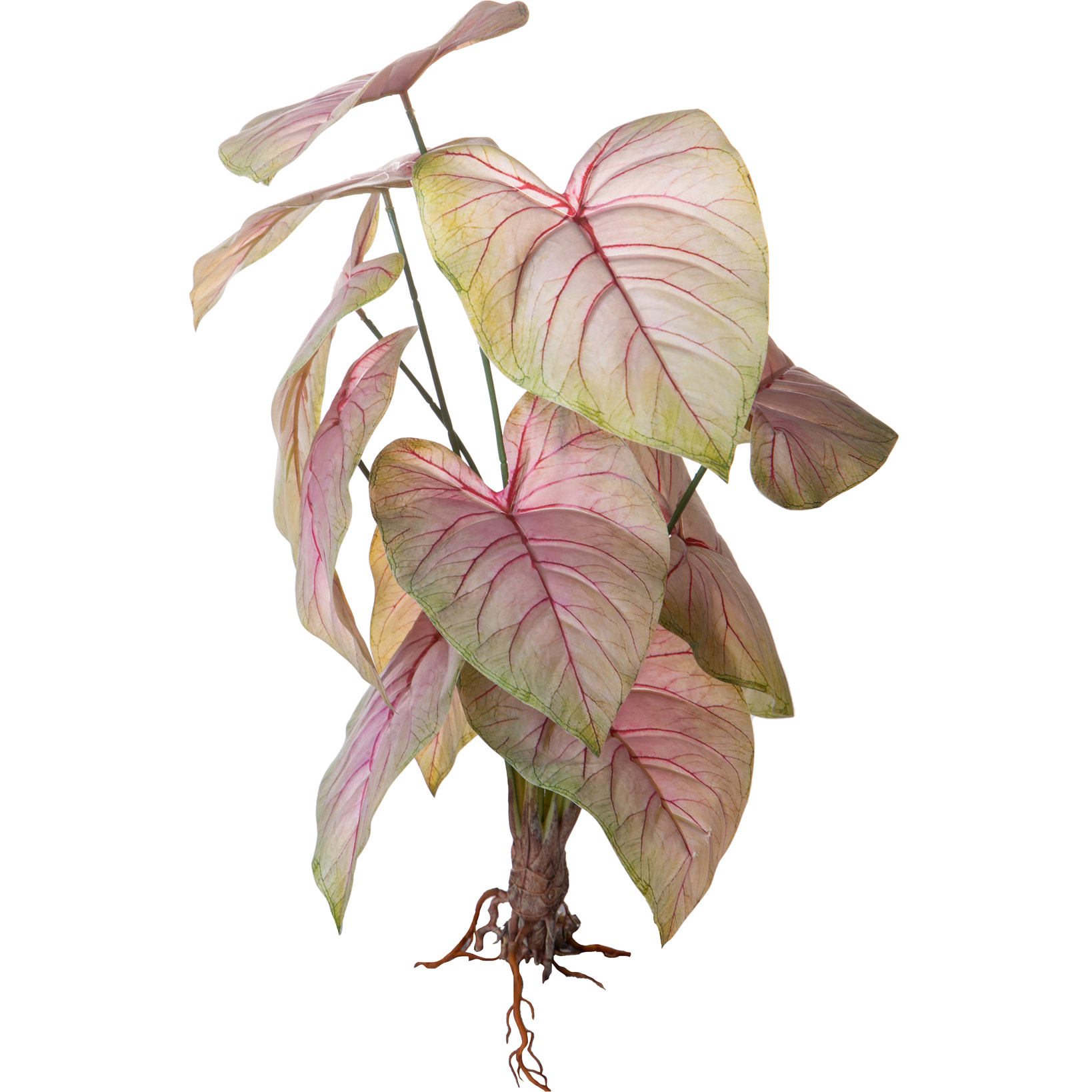 Caladium per 12 Foglie 50 Cm - Pezzi 2 - 18X50X15cm - Colore: Rosa - Bianchi Dino - Piante Artificiali