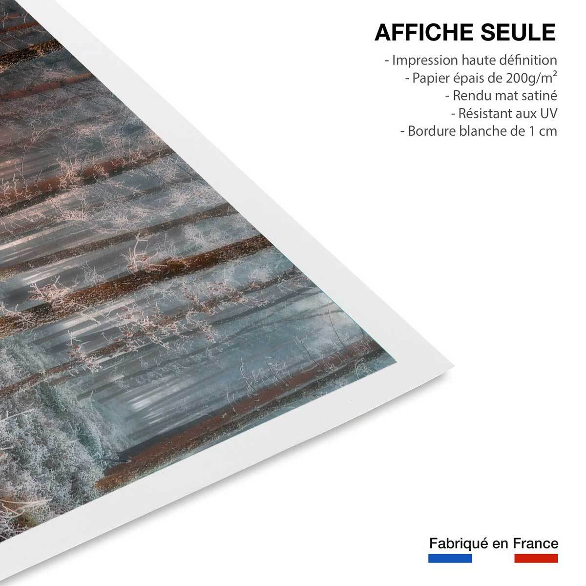 Affiche paysage de glace et de feu Affiche seule