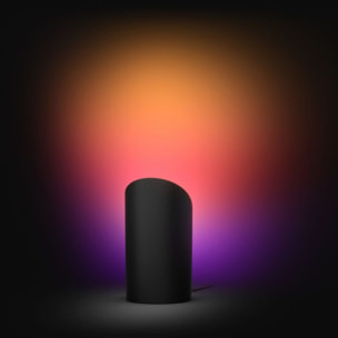 Lampe connectée PHILIPS HUE Play Wall washer Noir White&Color gradie