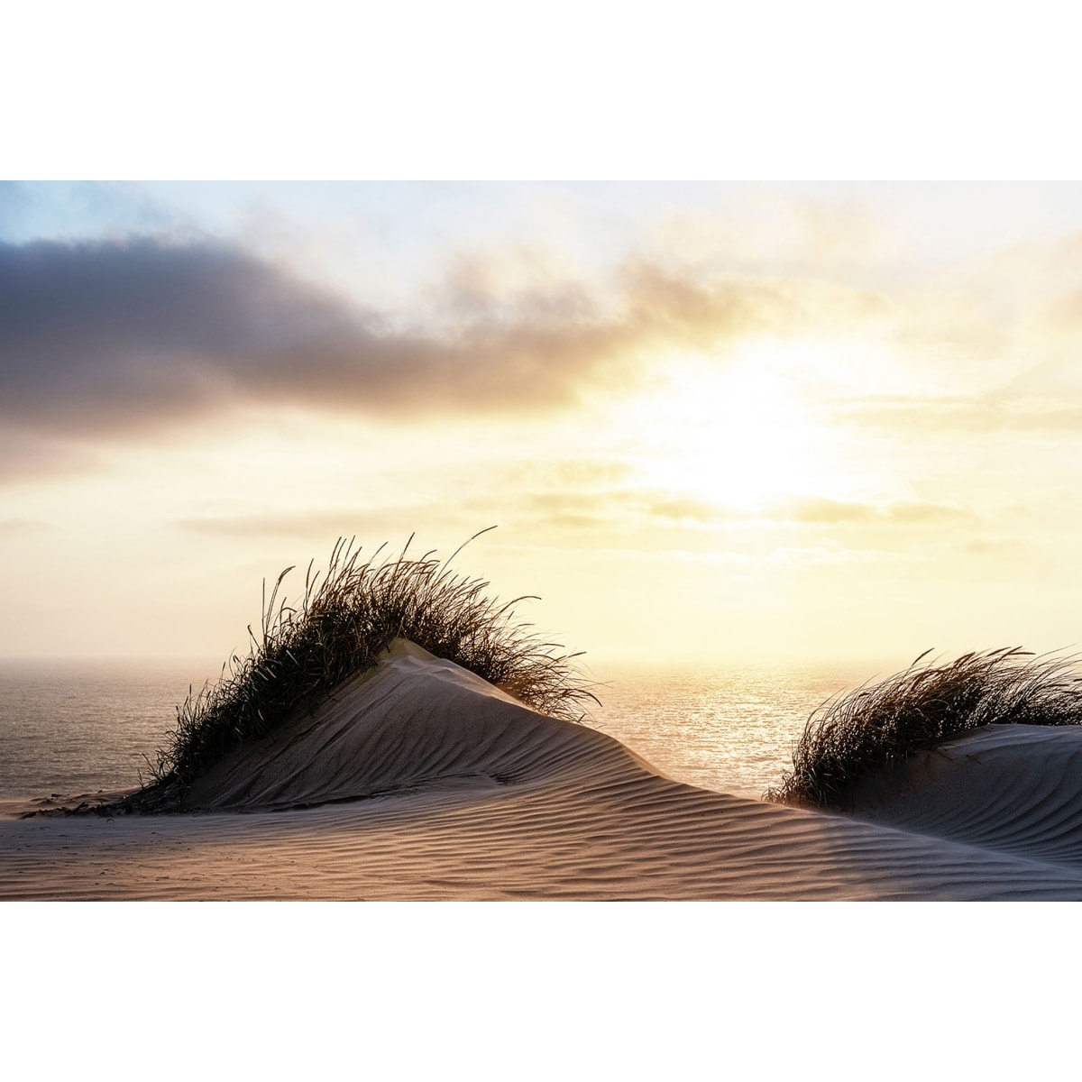 Tableau dune au vent Tableau plexiglas