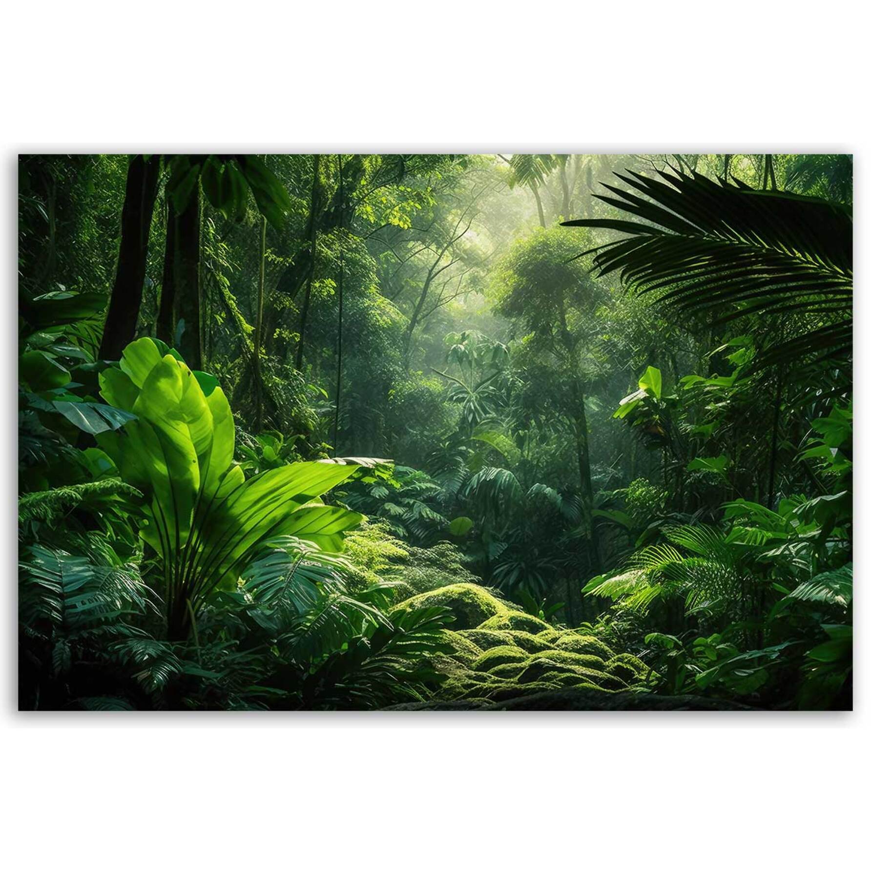 Tableau jungle luxuriante en lumière verte Toile imprimée