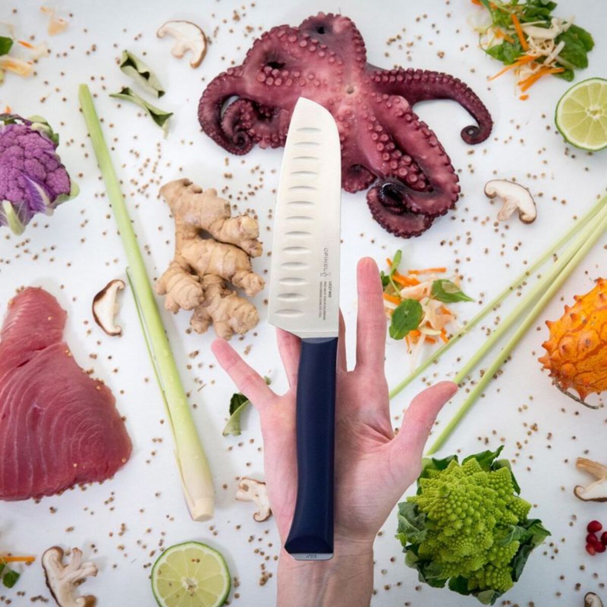 Couteau japonais OPINEL Santoku Intempora No219