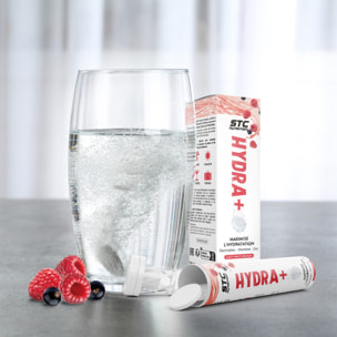 STC NUTRITION - Hydra+ - Préparation pour boisson isotonique à base d'Électrolytes, Vitamines, sucre et édulcorant naturels - Optimise l'hydratation - Fruits Rouges - Lot de 3