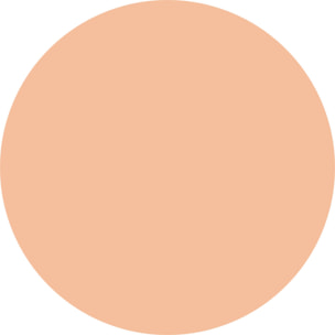 VIRTUOUS SKIN Fondotinta vegan dal finish "natural glow"