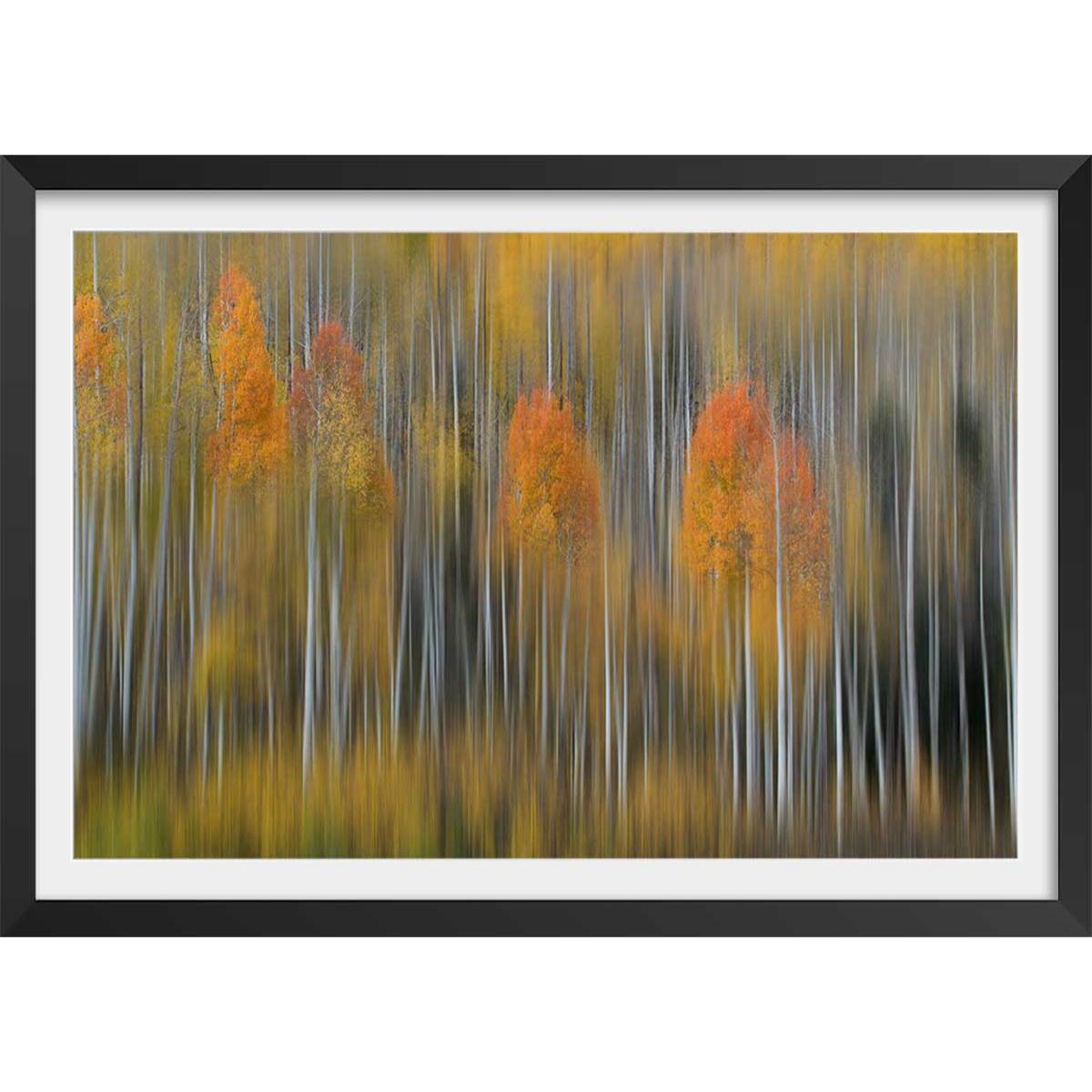 Affiche forêt et Impression d'automne Affiche + cadre en bois - Noir