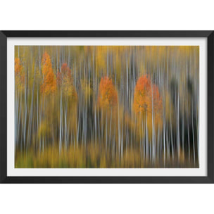 Affiche forêt et Impression d'automne Affiche + cadre en bois - Noir