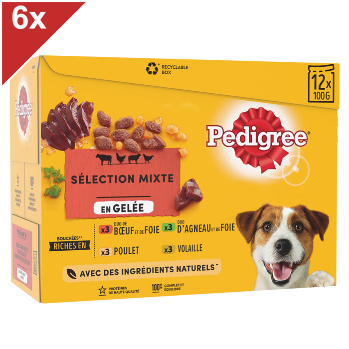 PEDIGREE 72 Sachets fraîcheur en gelée 4 variétés pour chien 100g (6x12)