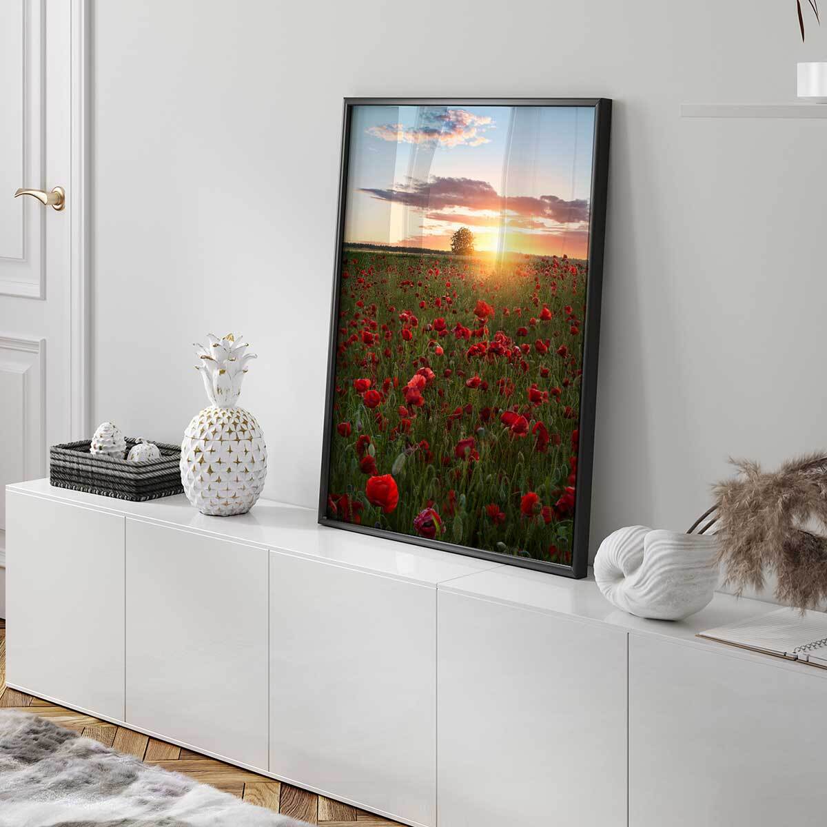 Affiche champs de coquelicots Suede en fleurs Affiche seule