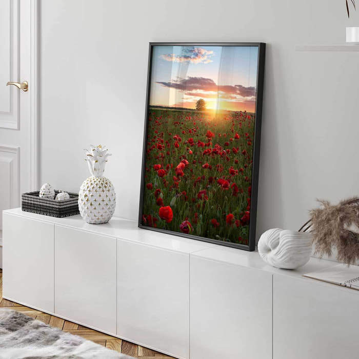 Affiche champs de coquelicots Suede en fleurs Affiche seule