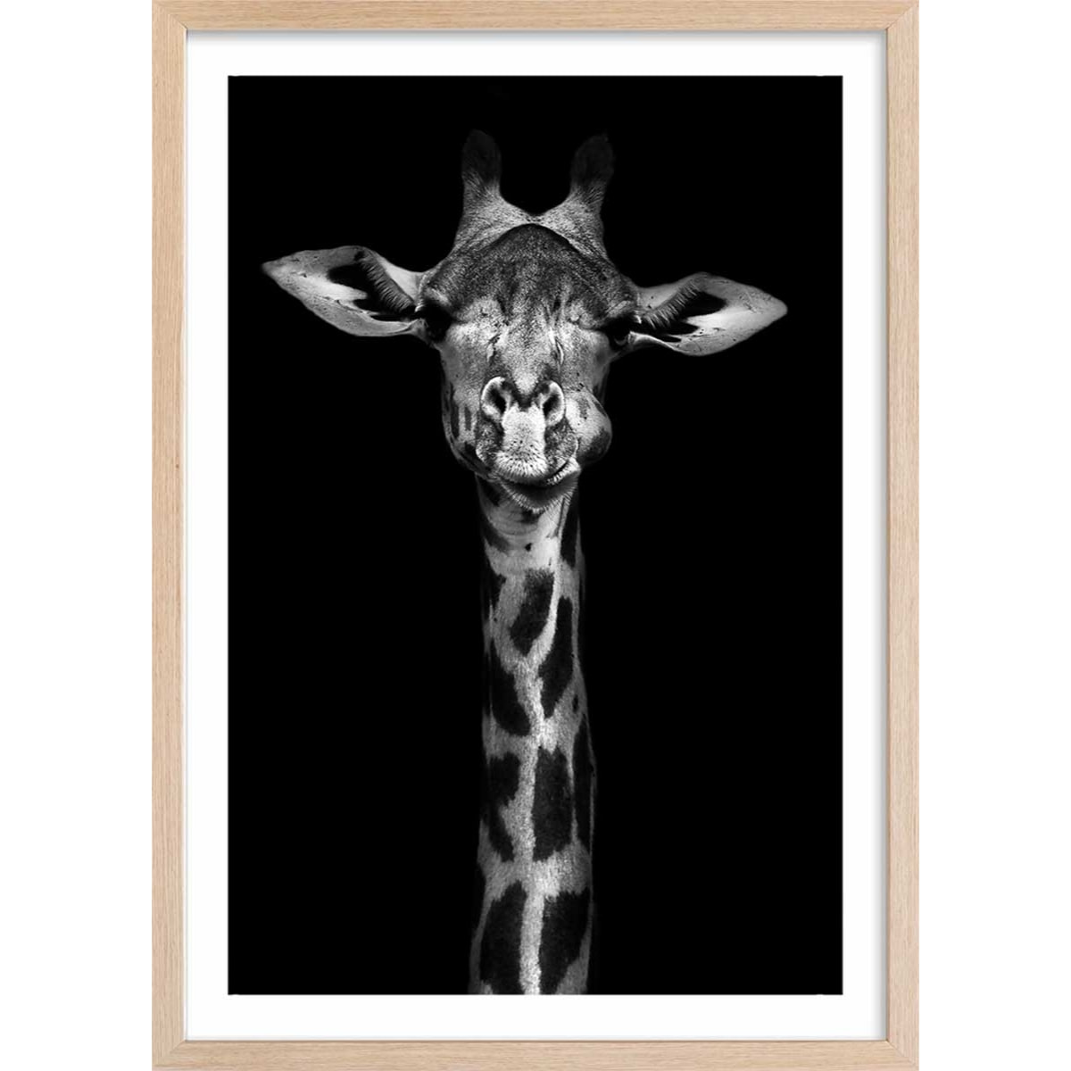 Affiche girafe haute en portrait Affiche + cadre en bois - Chêne