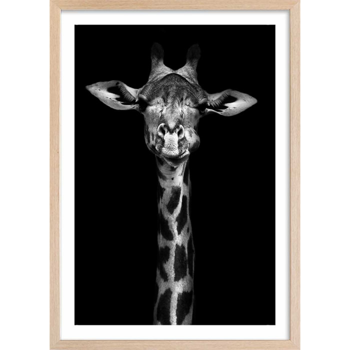 Affiche girafe haute en portrait Affiche + cadre en bois - Chêne