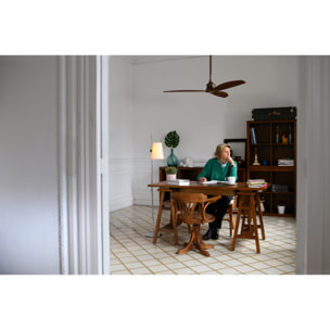 JUST FAN M Ventilador de techo negro mate