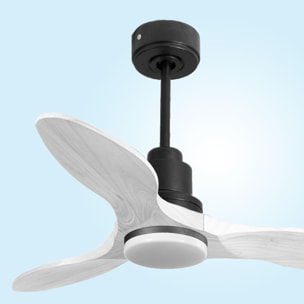 Ventilateur de plafond Réversible  Thermostat Dimmable Wifi Moteur à courant continu Toits en pente Télécommande Lumière à trois tons Hypersilence Mémoire