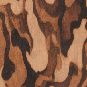 Papier peint Bois Précieux Terracotta Intissé