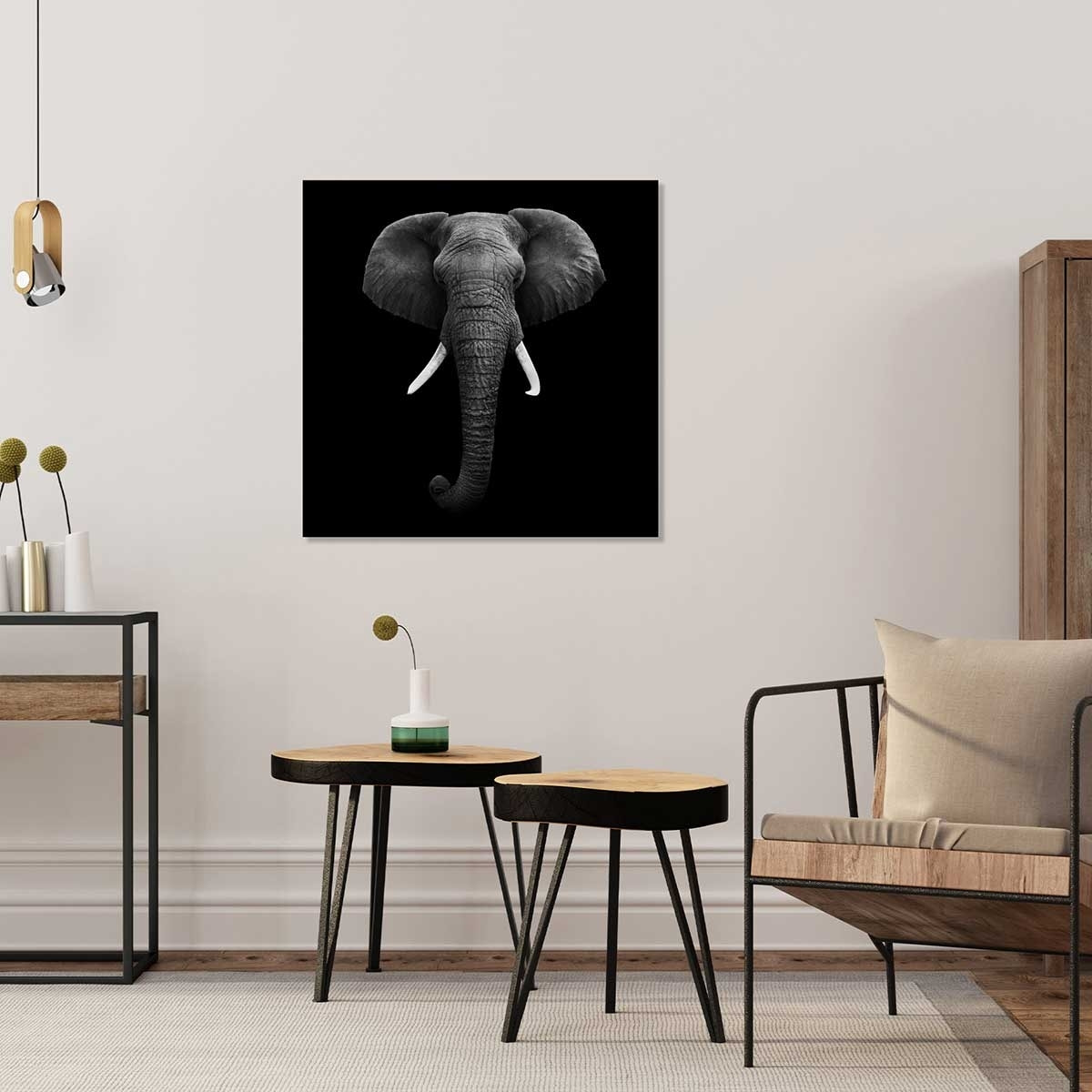 Tableau l'éléphant dans l'ombre Toile imprimée