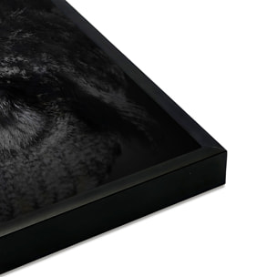 Affiche encadrée – Hibou aux yeux orange, regard hypnotique Affiche + cadre en métal - Noir