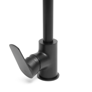 Robinet d'évier Swiss Aqua Technologies Mood avec bras tournant noir mat SATBSMOOD280KC