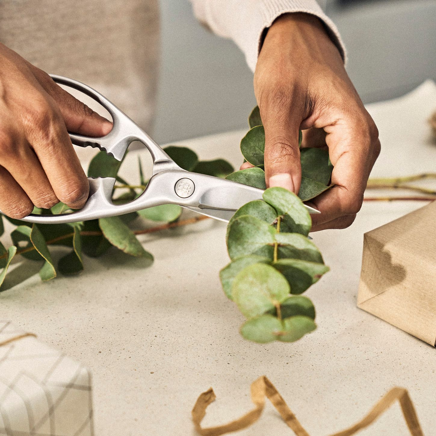 ZWILLING Ciseaux à usages multiples, 20 cm, Acier Inoxydable