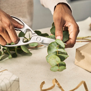 ZWILLING Ciseaux à usages multiples, 20 cm, Acier Inoxydable