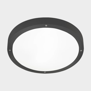 LEDS C4 Plafon Ip66 Basic E27 15W Gris Urbano