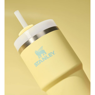 Borraccia Termica Con Cannuccia - 0,59L - QUENCHER® H2.O FLOWSTATE™ TUMBLER - Pomelo