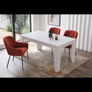 Tavolo da Pranzo Allungabile Da 160 A 220 Cm Gambe a Spillo Design Moderno 10 Posti Estensibile Guide In Metallo Cucina Salotto Soggiorno Bianco