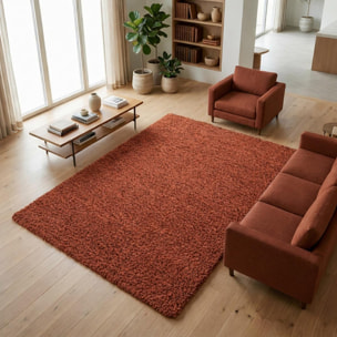 Tapis poils longs shaggy tissé motif uni ZASIVE