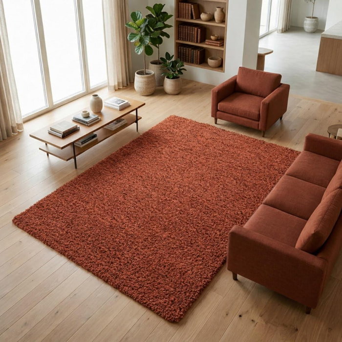 Tapis poils longs shaggy tissé motif uni ZASIVE