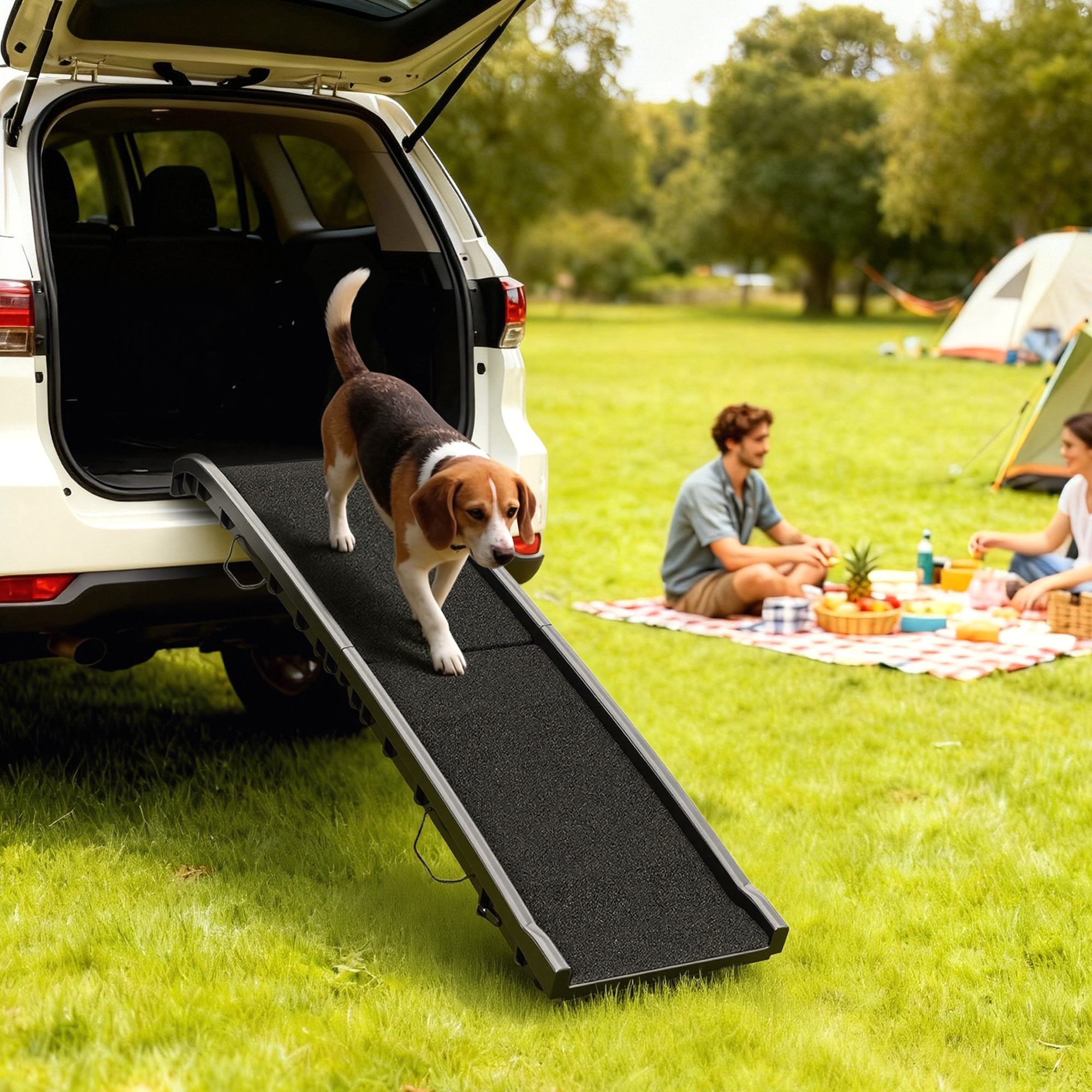 Rampe pliable chien surface antidérapante 155x38x15cm plastique noir