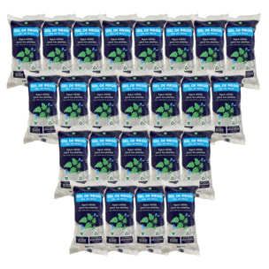 Pack 24 x Gel de Riego Planeta Huerto 400 ml