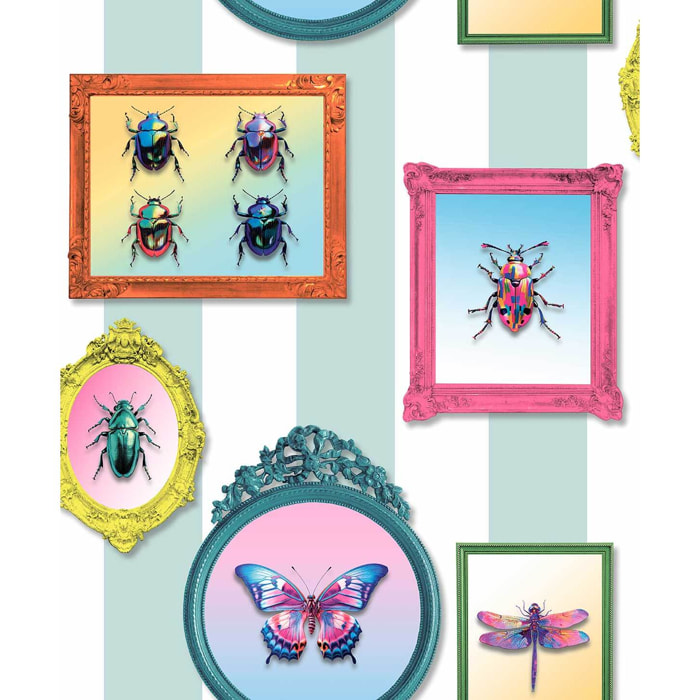 Papier peint cadres vintage insectes pop colorés