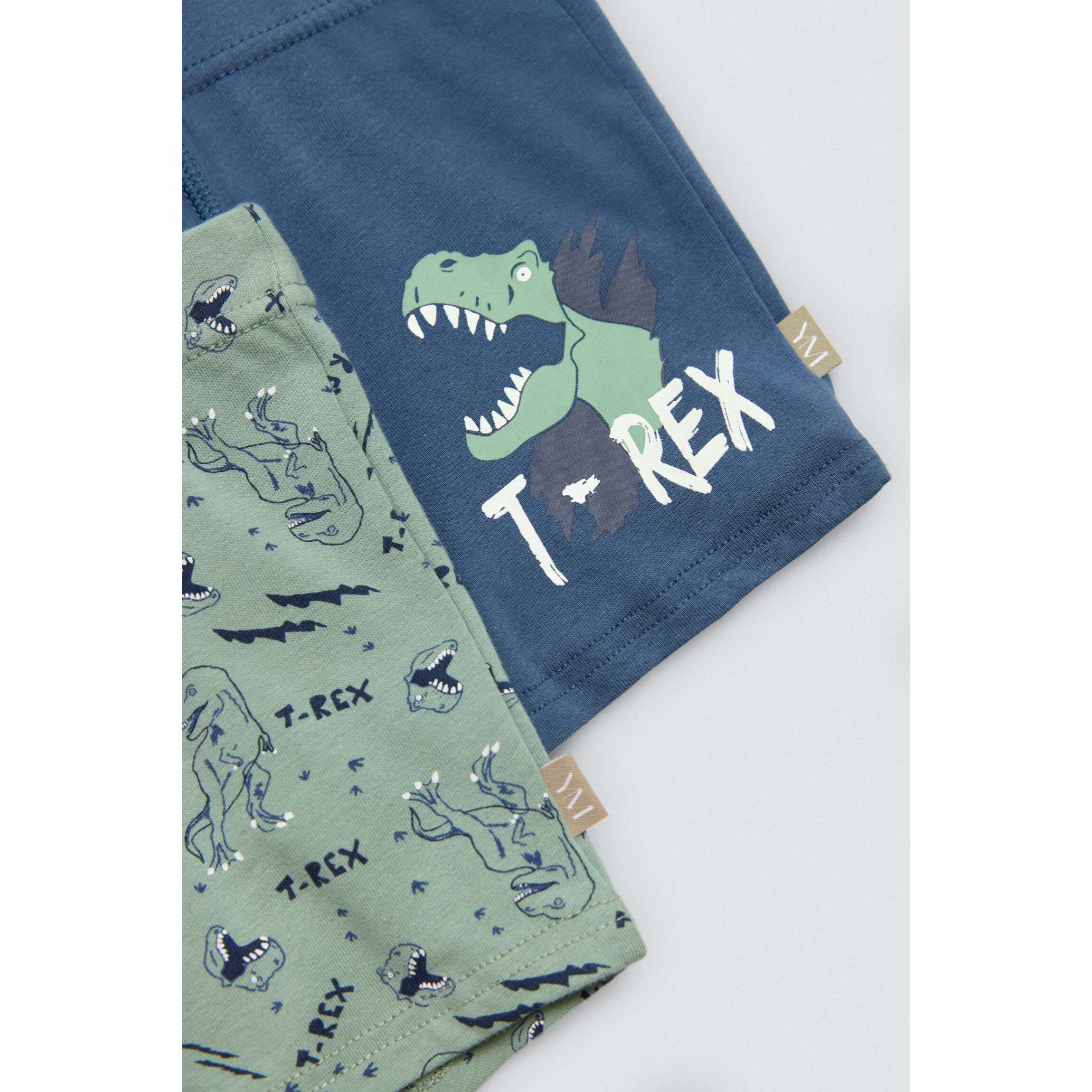 Confezione da 2 boxer in cotone per bambini con stampa di dinosauri
