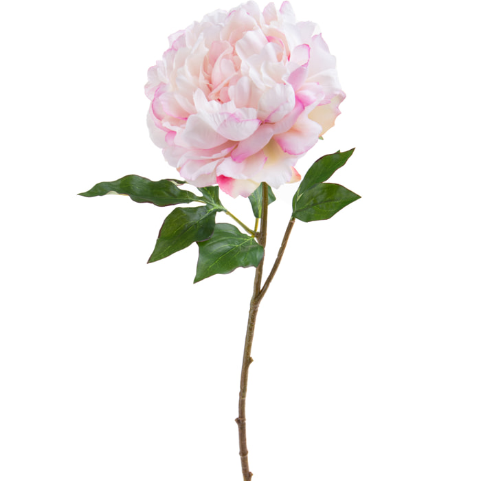 Peonia Gigante. Altezza 57 - Pezzi 4 - 20X57X18cm - Colore: Rosa  - Bianchi Dino - Fiori Artificiali