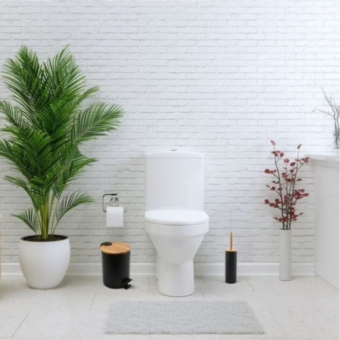 Set Poubelle à  pédale 3L & Brosse Wc ADONIS Noir Spirella
